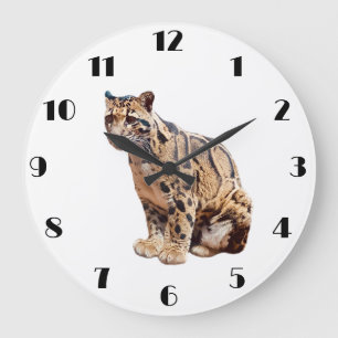 Grande Horloge Ronde léopard nébuleux photographie jungle grand félin a