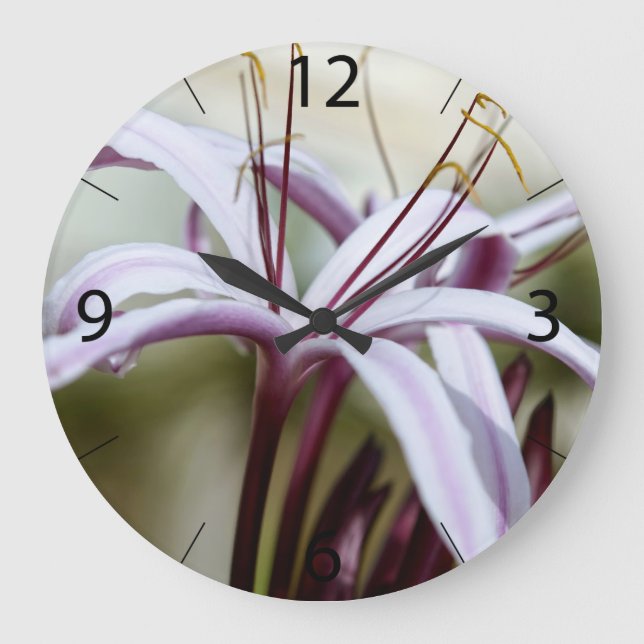 Grande Horloge Ronde Lily (Recto)