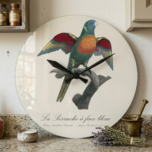 Grande Horloge Ronde Loriquet à tête bleue, Trichoglossus haematodus