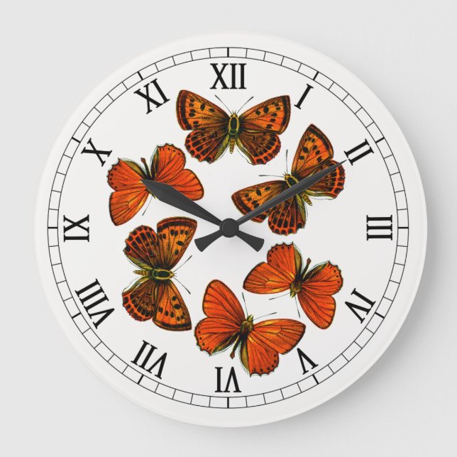 Grande Horloge Ronde Lycaena virgaureae, le papillon de cuivre égratign (Recto)