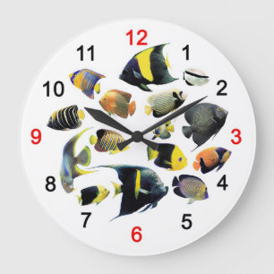 Grande Horloge Ronde Marine Angelfishの 掛 け 計