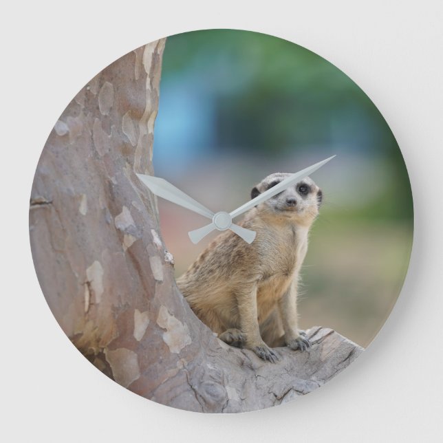 Grande Horloge Ronde Meerkat SAT sur l'arbre (Recto)