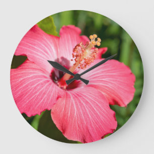 Grande Horloge Ronde Michigan, Dearborn. Détail De L'Hibiscus Rose