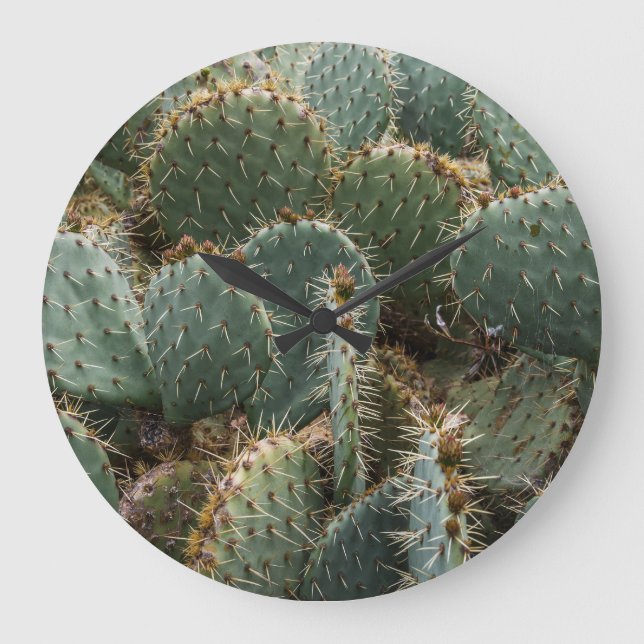 Grande Horloge Ronde Motif de Cactus : Opuntia ficus-indica tendance. (Recto)