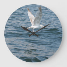 Mouette enlevée