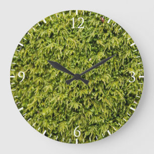 Grande Horloge Ronde Mousse verte