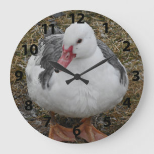 Grande Horloge Ronde Muscovy Duck Clock