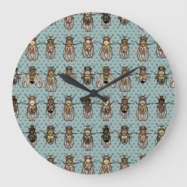 Grande Horloge Ronde mutants de Drosophila (Recto)