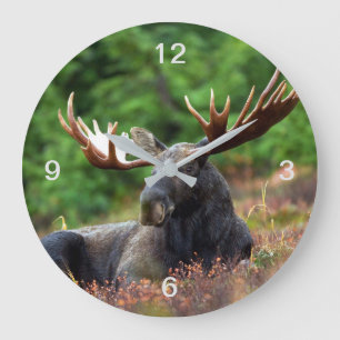 Grande Horloge Ronde Oie