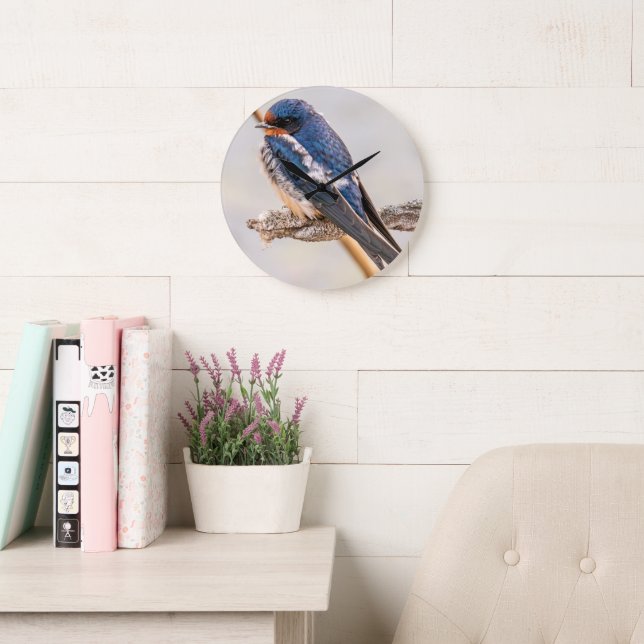 Grande Horloge Ronde Oiseau bleu, Hirondelle de grange, Photographie ca (Salle de lecture)