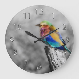 Grande Horloge Ronde Oiseau d'arc-en-ciel