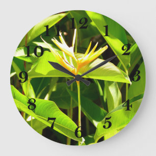 Grande Horloge Ronde Oiseau du Paradis
