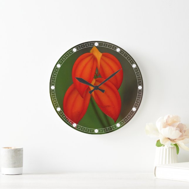 Grande Horloge Ronde Orchidée de Masdevallia ignea (Maison)