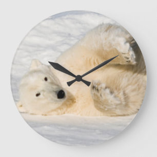 Grande Horloge Ronde Ours blanc près de baie de Hudson