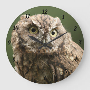 Grande Horloge Ronde Owl Clock