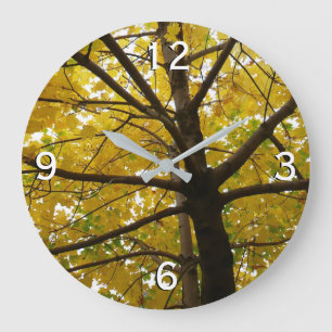 Grande Horloge Ronde Paire d'érables jaunes Automne Nature