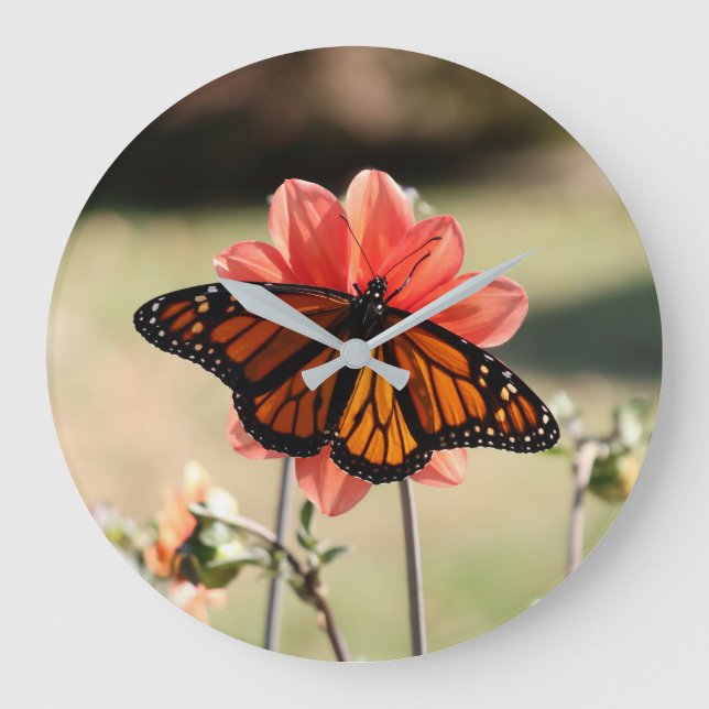 Grande Horloge Ronde Papillon monarque sur une Dahlia (Recto)