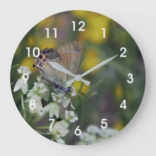 Grande Horloge Ronde Papillon skipper sur une fleur