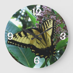 Grande Horloge Ronde Papillon Swallowtail I sur Asclépiade à Shenandoah