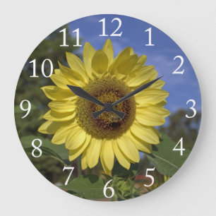 Grande Horloge Ronde Parfait tournesol d'été dans le ciel bleu.