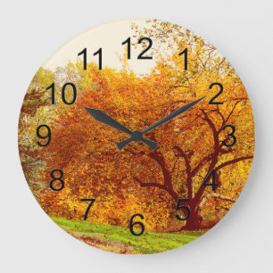 Grande Horloge Ronde Paysage d'automne Photo de Central Park