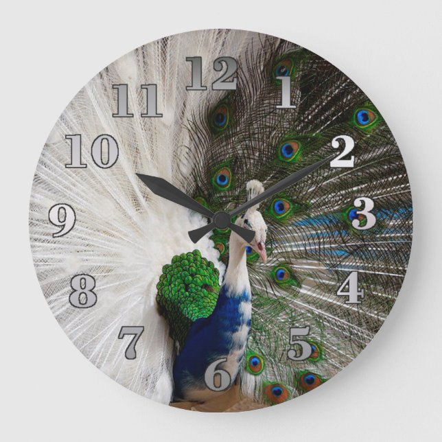 Grande Horloge Ronde Peacock bleu blanc (Recto)