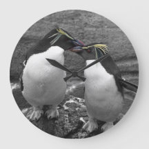 Penguin Colour Splash