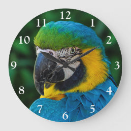 Grande Horloge Ronde Perroquet bleu et or macaw