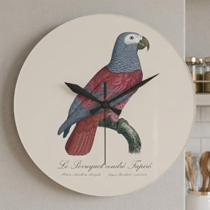 Grande Horloge Ronde Perroquet Gris d'Afrique Psittacus Erithacus Facte