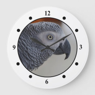 Grande Horloge Ronde Perroquet majestueux de gris africain