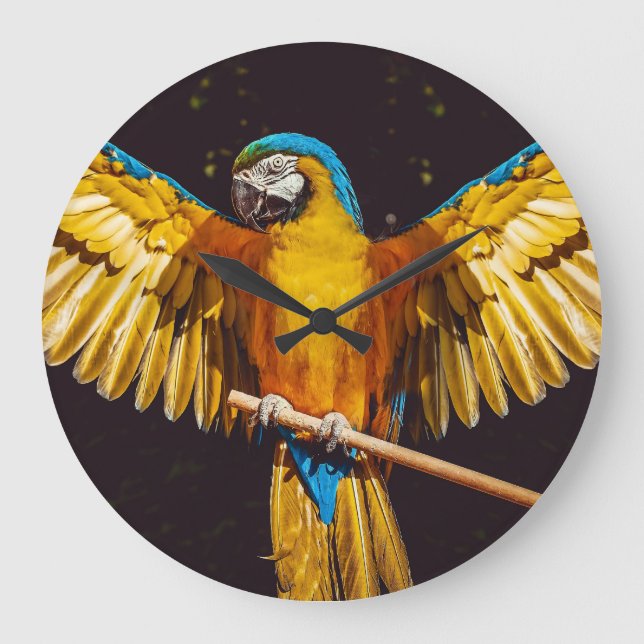 Grande Horloge Ronde Perroquet Tropical Sur Une Perche (Recto)