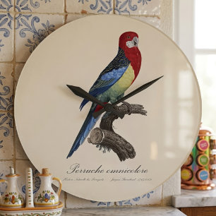 Grande Horloge Ronde Perruche omnicolore / Eastern rosella 
