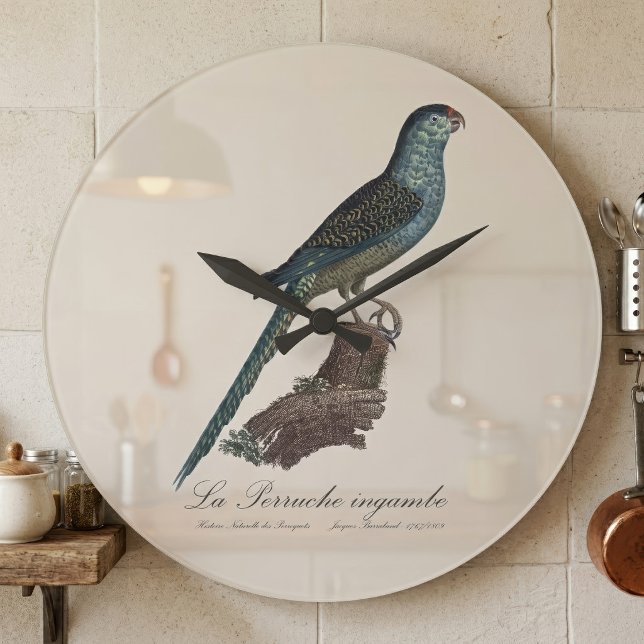 Grande Horloge Ronde Perruche terrestre ou Perruche des marais, Pezopor (Ground Parrot or Swamp Parrot, Pezoporus Wallicus. Large Clock)