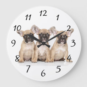 Grande Horloge Ronde Petits bouledogues français mignons