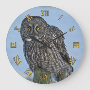 Grande Horloge Ronde Photo de la faune de Great Grey Owen and Fence Pos