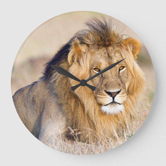 Grande Horloge Ronde Photo de lion majestueuse (Recto)