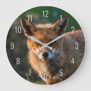 Grande Horloge Ronde Photo de renard roux en gros plan Portrait Visage 