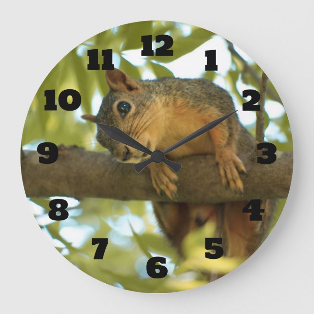 Grande Horloge Ronde Photo nature d'écureuil mignonne et curieuse (Recto)