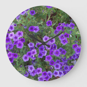 Grande Horloge Ronde Photo of Purple Phlox flowers on a