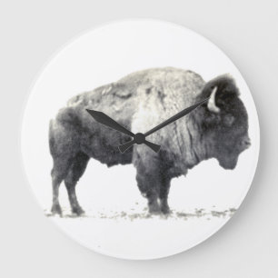 Grande Horloge Ronde Photographie historique du bison américain
