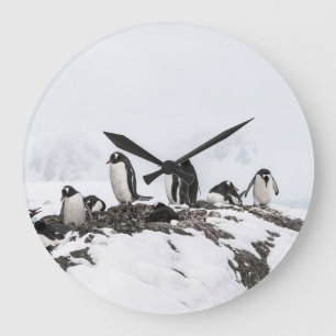 Grande Horloge Ronde Pingouins Gentoo, Antarctique, station Vernadsky.
