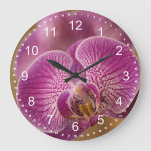 Grande Horloge Ronde Pink Orchid Flower