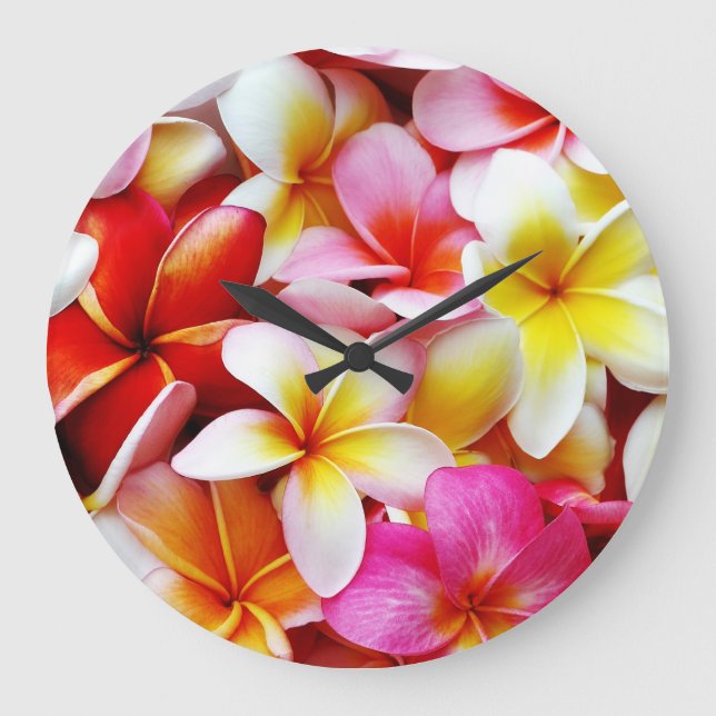 Grande Horloge Ronde Plumeria Frangipani Hawaii Fleur Customisée (Recto)