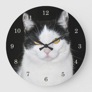 Grande Horloge Ronde Portrait de chat noir et blanc