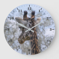 Portrait de girafe. Je vous vois si je ne regarde
