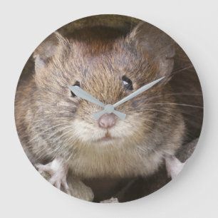 Grande Horloge Ronde Portrait de Mouse