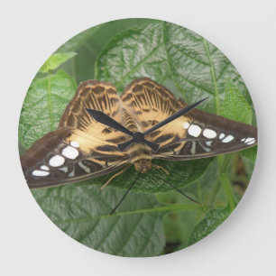 Grande Horloge Ronde Pretty Tropical Clipper Butterfly Wall Clock