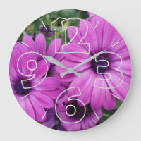 Purple daisies