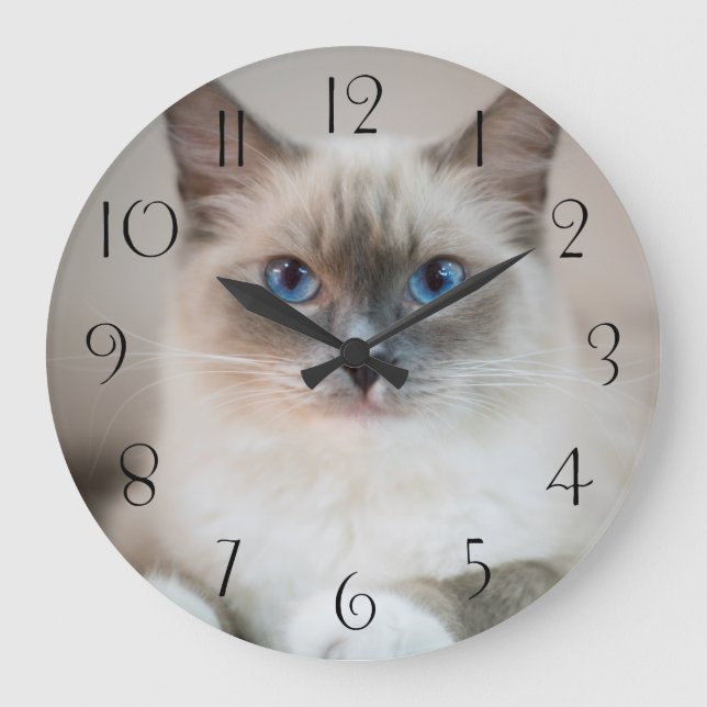 Grande Horloge Ronde Ragdoll bleu ‎ chat (Recto)