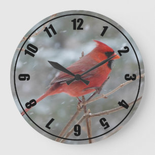 Grande Horloge Ronde Red cardinal en hiver
